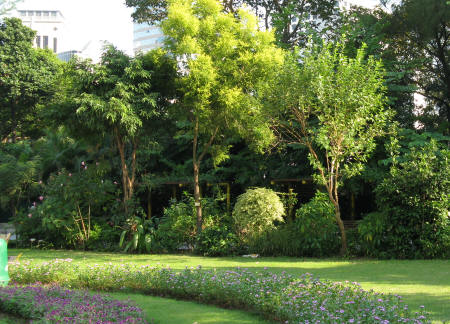 Botanical Gardens of Hong Kong
