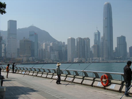 The Hong Kong Skyline